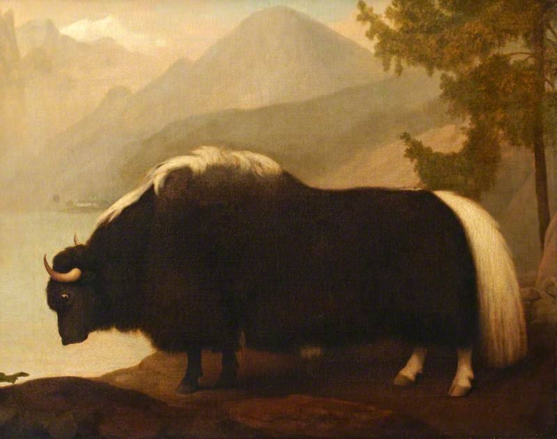 He later moved to Hastings’ estate at Daylesford in Gloucestershire, which is where, in 1791, he was painted by George Stubbs. NB This is not what Gloucestershire looks like. The background is based on one of Turner’s sketches of Bhutan.  #lockdownbestiary 9/14