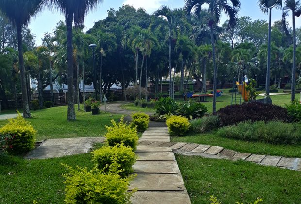 Au coeur de l'île: #Balfour, petit havre de paix urbain #ilemaurice #mauritius #nature #jardin #voyagezdemain #traveltomorrow bit.ly/3aFhlqu