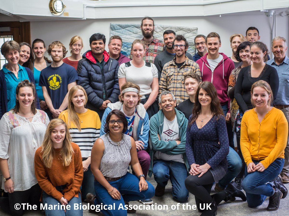 thembauk's tweet photo. Welcome to the Cell and Molecular MBA twitter takeover! All week we will be telling you about our inspirational team members and the amazing work that we do. #cellbiology #molecularbiology #bestthingscomeinsmallpackages #MBAtakeover https://t.co/QOIqYEHvAT