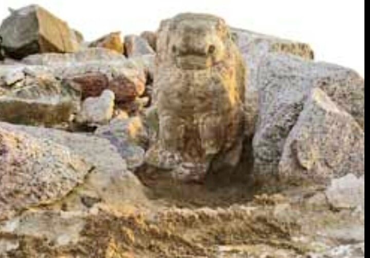 Soham on Twitter "Lion statue that appeared after the December 26