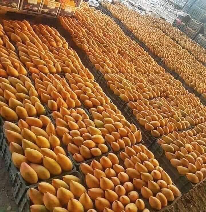 mudhaher_tajer's tweet photo. الَّذِي أَطْعَمَهُمْ مِنْ جُوعٍ وَآمَنَهُم�� مِنْ خَوْفٍ 🌹
أعاد اللهُ يُمنكَ وسُعدكَ أيها اليمنُ السعيد 🕊
✍🏼 بعد إنجلاء الغمّة عن اليمن ؛ علينا التكامل مع هذا الشعب الشقيق والبلد العريق : إقتصاديا ، أمنيا ، سياسيا ، غذائيا .. لأنهُ عُمقُ عُمانَ الإستراتيجي بكل المقاييس .
🇴🇲❤️🇾🇪 https://t.co/tRkQcHVqwv