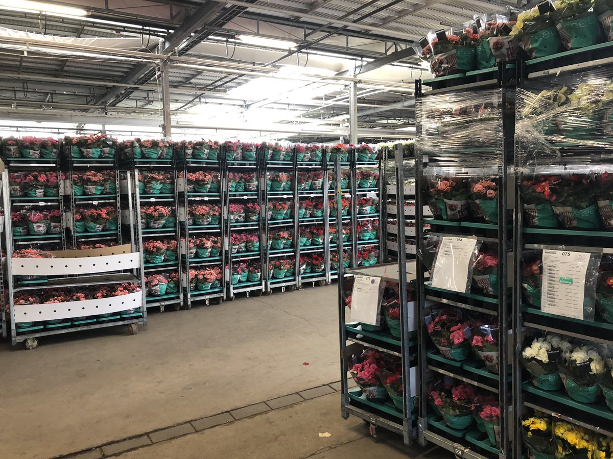 peter ten Have tweet media