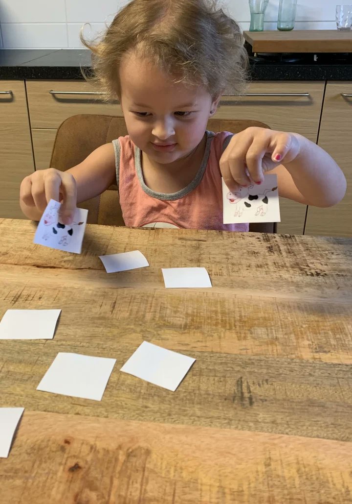 Tellen met ballonnen en 💩💩jes, bouwen zo hoog als een plant, een memory spelen #goedbezig👏😍 #Trapleerke