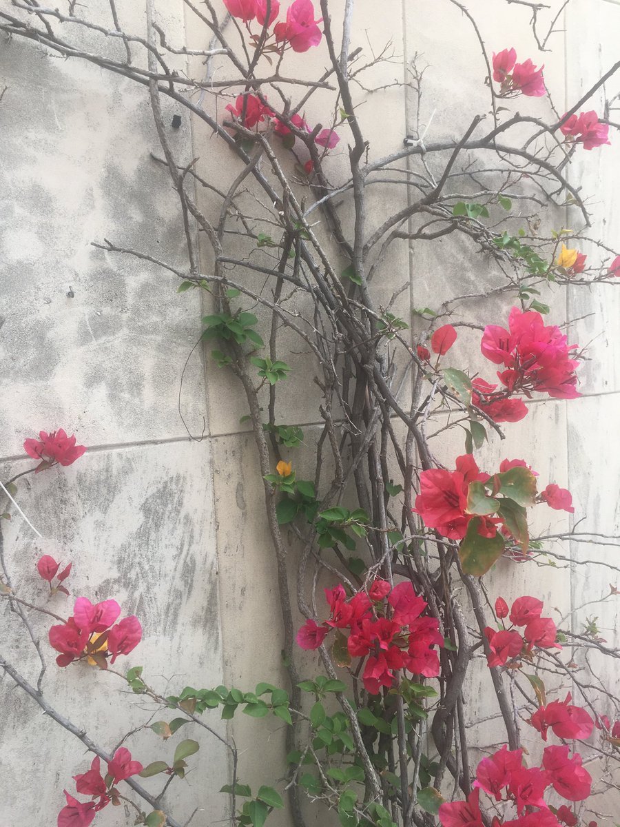 Staying calm and letting the New Ideas come #create #meditate #creation through meditation...#let the ideas come ...
Stay safe #Stay calm#Stay at home 💕