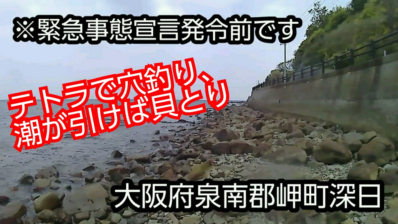 紀釣会 深日 穴釣り Amp 貝獲り 釣り 穴釣り 大阪釣り 岬町釣り 深日釣り 貝獲り ガシラ ガンガラ ギンポ Fishing T Co T8kfylvmkc T Co Kjbzgr3gno Twitter