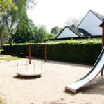 Bild/Foto