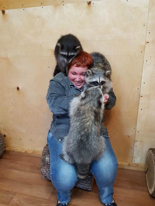 Андрей tweet media