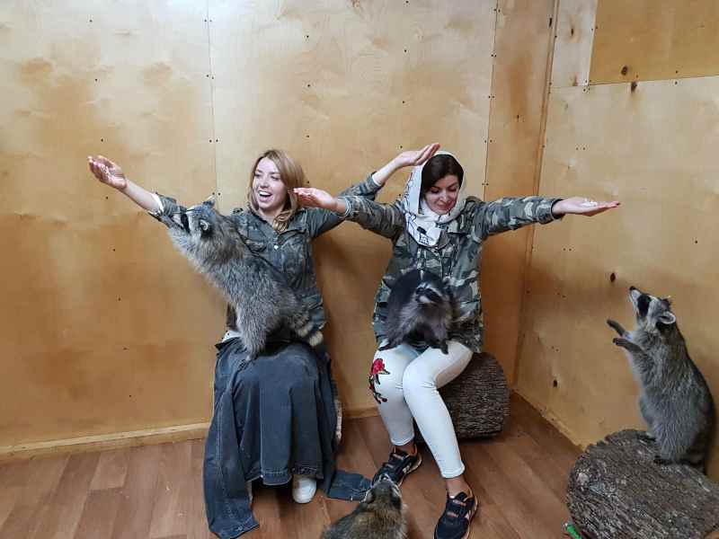 Андрей tweet media