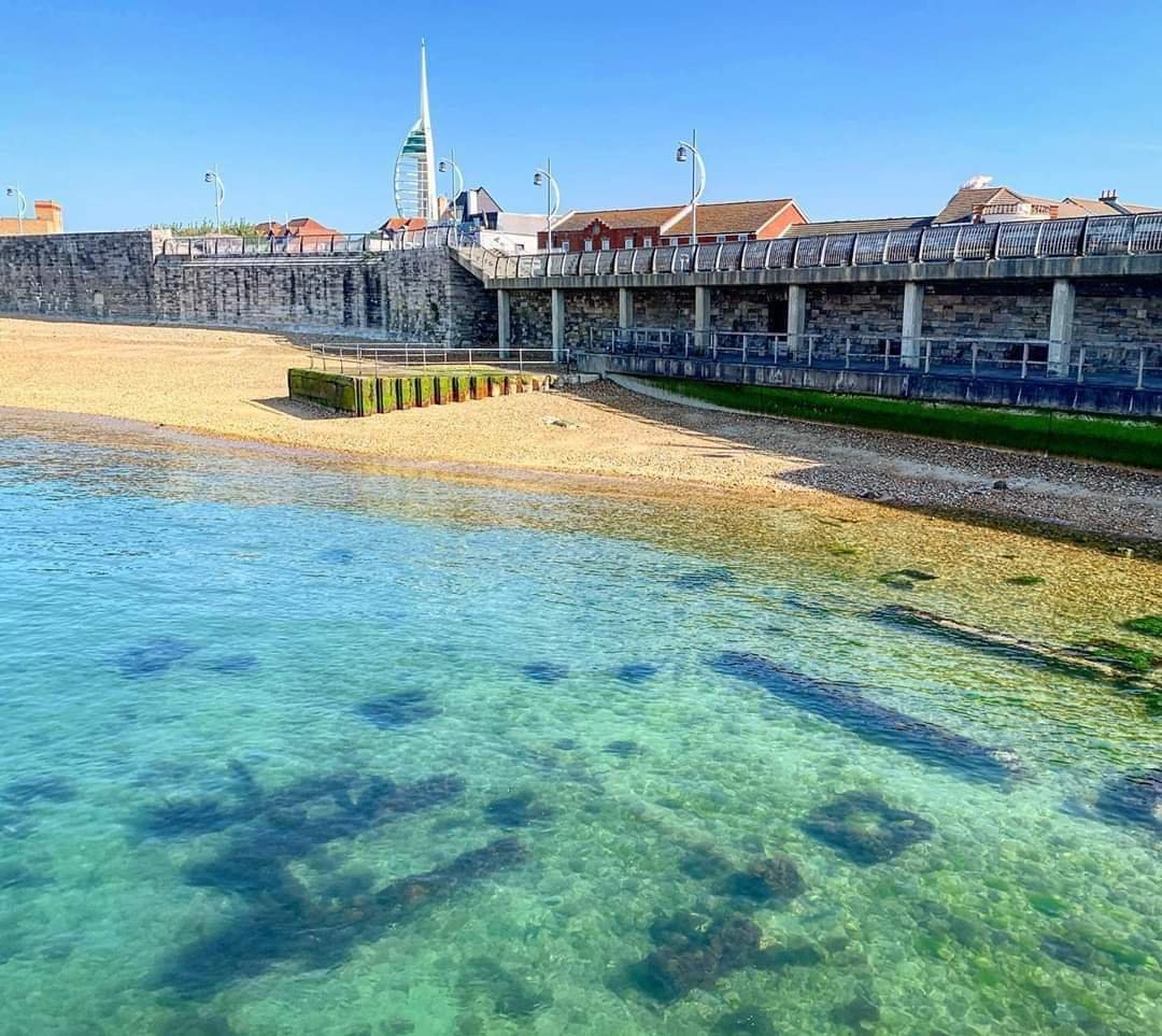 Water clarity around the Solent is incredible at the moment. I have been diving here for over 30 years and have never seen it like this. This is the entrance to Portsmouth Harbour. (📷 Jamie Sunderland) <a href="/lizbonnin/">Liz Bonnin 💙</a> <a href="/Paul_Rose/">Paul Rose</a>
#conservation #environment #oceans #justoneocean