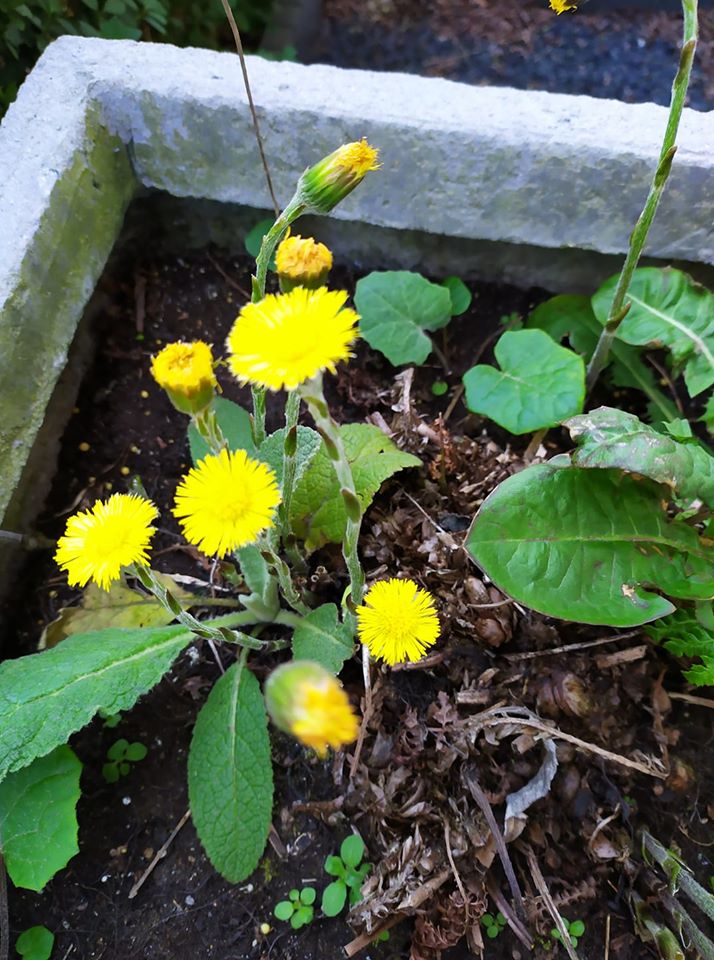 Ruimtekoers tweet media