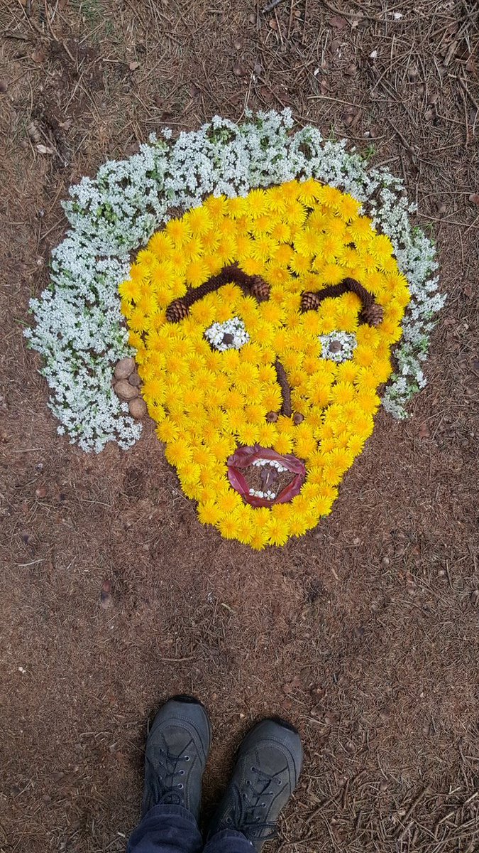 Ruimtekoers tweet media