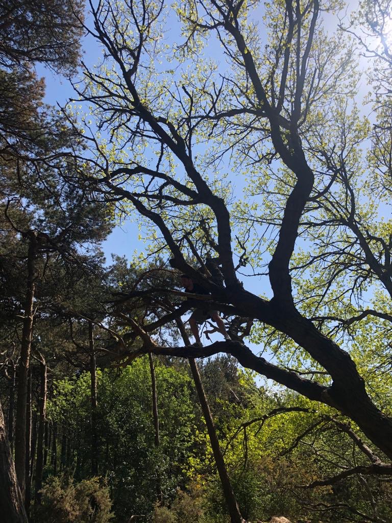 Zoom in!👀
Keep fit. Get motivated. Climbs a tree.. let nature take over ... #MondayMotivation 🤙🏻
What keeps you motivated for the week ahead?