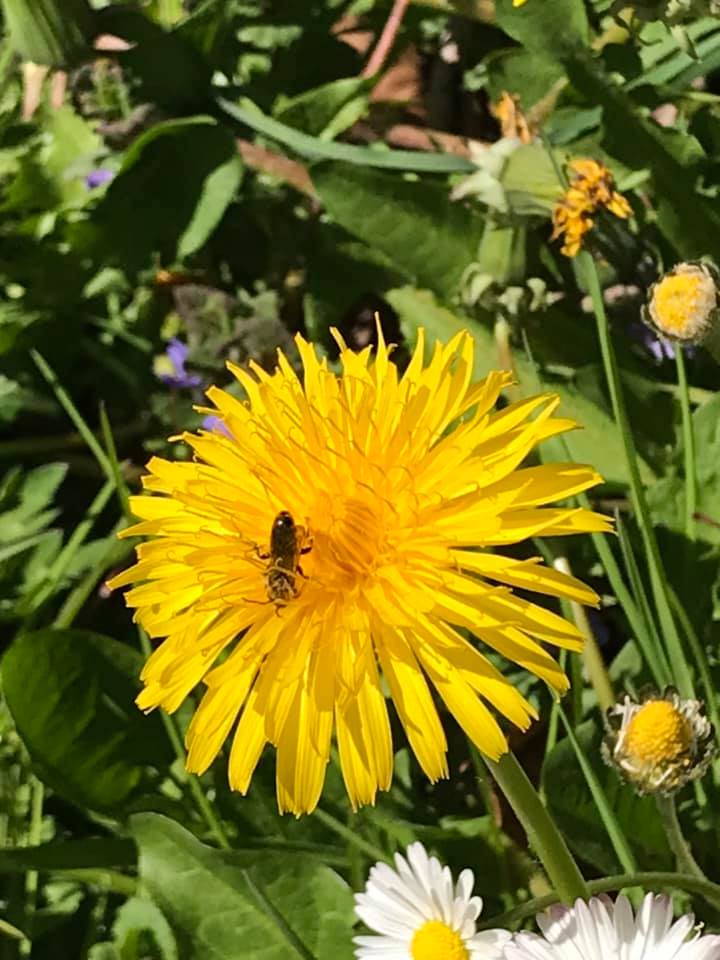 Ruimtekoers tweet media