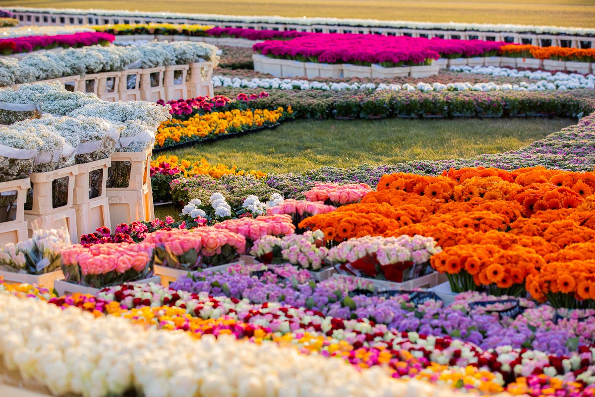 Happy King's Day to all our Dutch followers! How do you transform today into a celebration? 🧡🤴