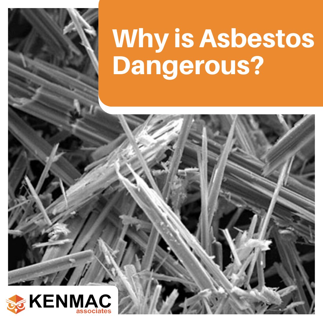 Asbestos exposure can cause the following: 

❌Mesothelioma 
❌Asbestos related Lung Cancer
❌ Asbestosis 
❌ Pleural Thickening 
 
Do you require help with Asbestos Awareness Training? If so, please contact us on 01925 747 155 ☎
#asbestos