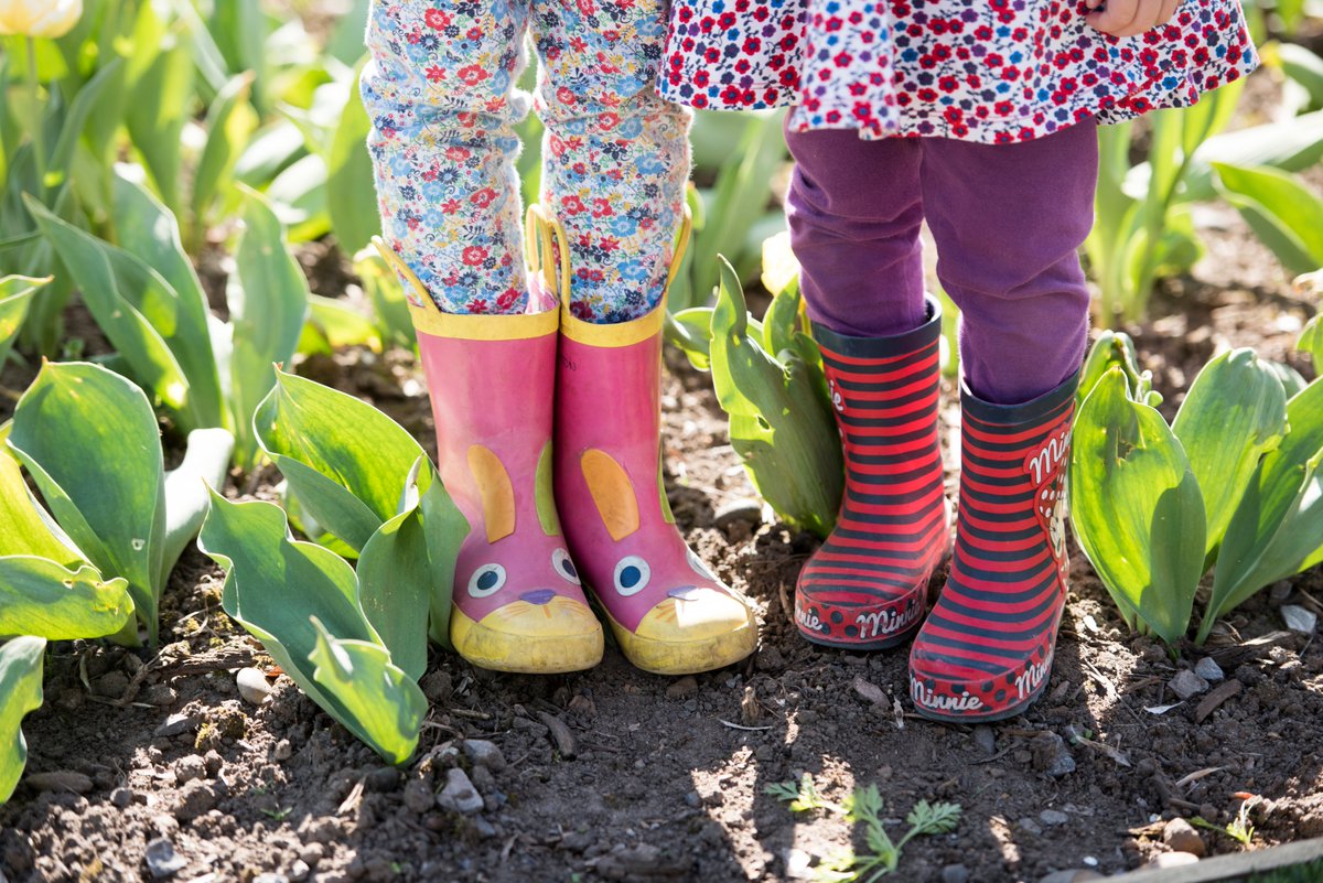 The_RHS's tweet image. Happy #NationalGardeningWeek!
 
We're calling on the nation to share uplifting videos &amp;amp; images of your gardens, houseplants, allotments and even the trees and flowers that make you smile on your daily exercise to inspire everyone to keep gardening and #GrowAtHome