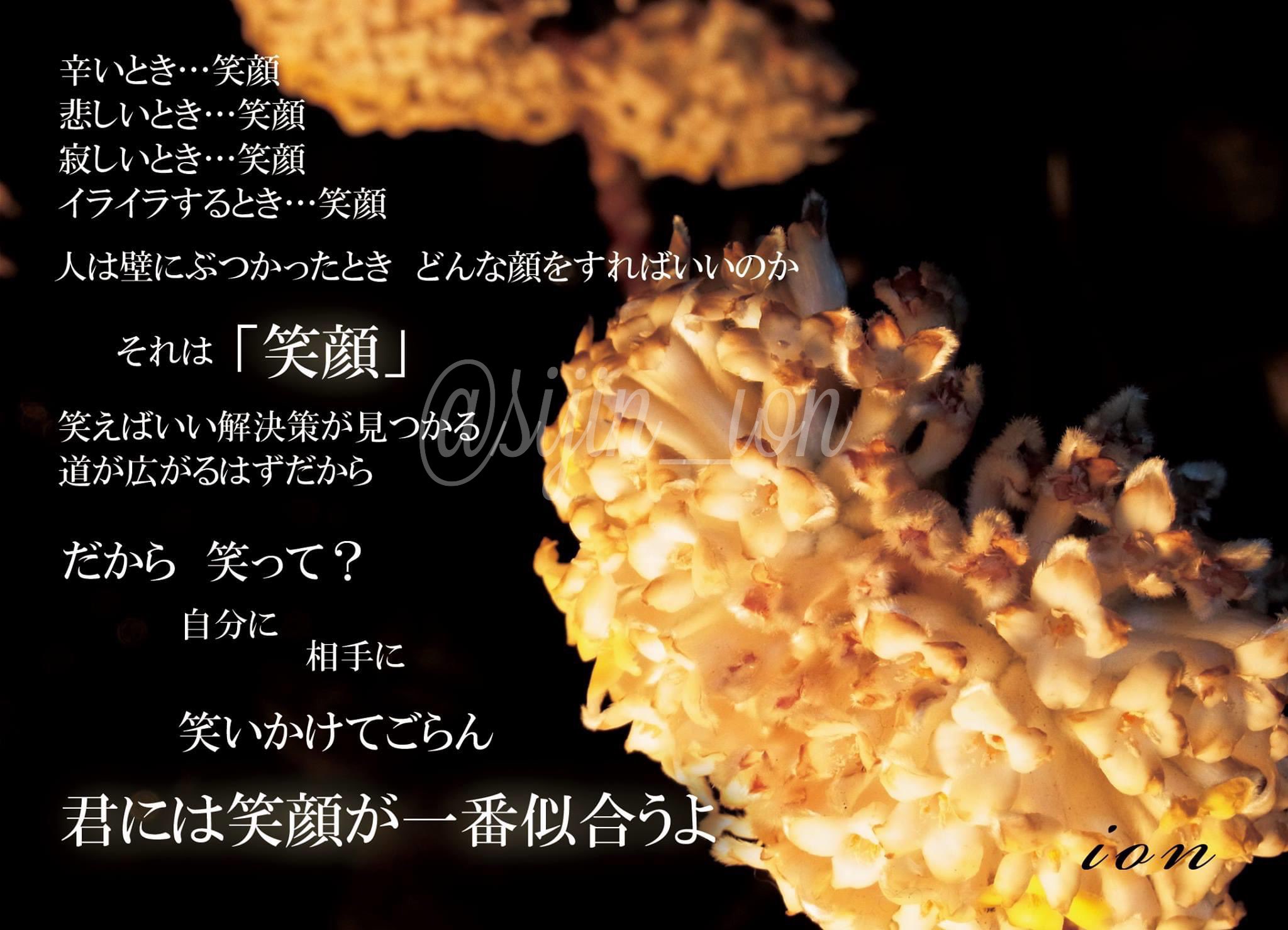 詩人カウンセラー Ion 笑えない時は 笑っちゃうことする 笑顔で笑顔を引き寄せよう 私は千鳥さんみて元気もらってます 詩 詩人 ポエム 言葉の力 詩書きさんと繋がりたい 千鳥さん大好き T Co Nbn3qm48ed Twitter