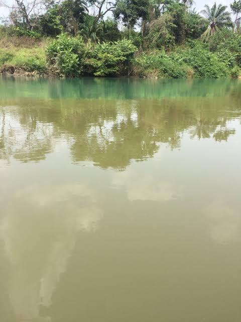 4.Oguta LakeLocated in Imo State, Southeastern Nigeria; within the equatorial rainforest region of Niger Delta. One part of Oguta Lake in Imo State, Nigeria is blue, the other part is brown. But they never mix