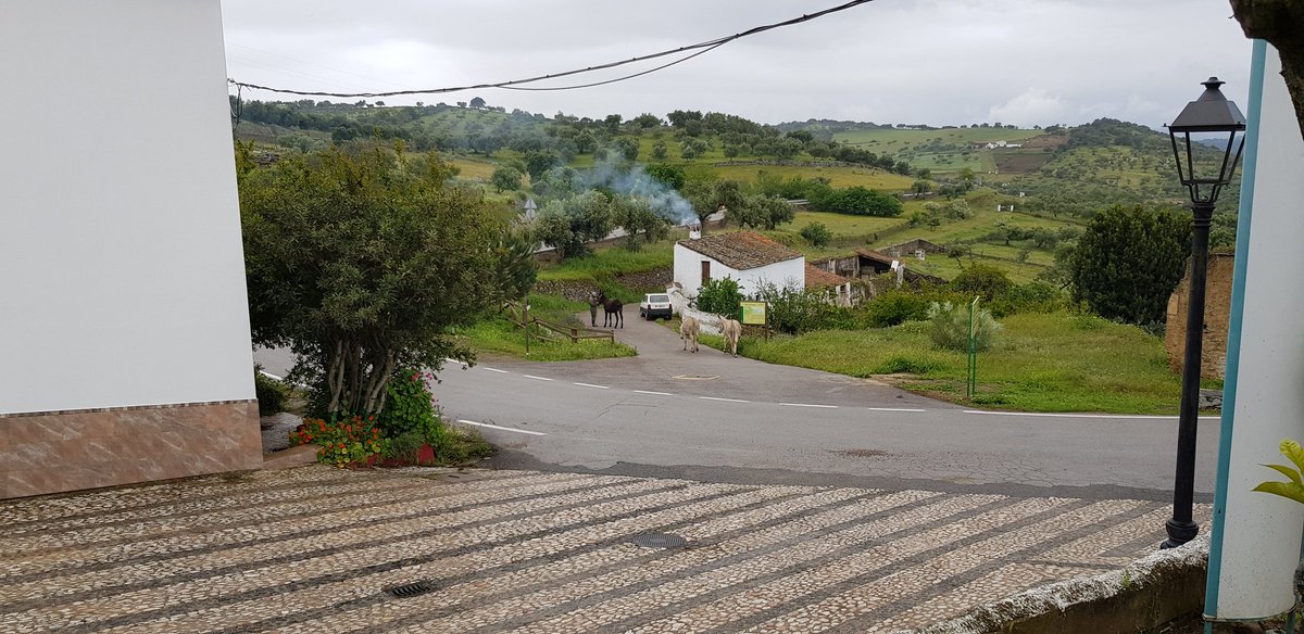 Francisco Sanchez  tweet media