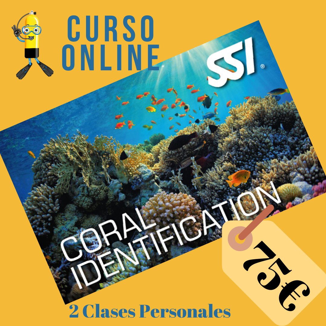 AtlantisLZT's tweet photo. Este es el momento de Aprender ONLINE!!⁠🐟🐠🐡
⁠🔗nuria@atlantislanzarote.com🔗 y pregúntanos.⁠
Prepárate para tus vacaciones y aprende de un maravilloso curso de #Identificar Corales  de #SSI, de la serie de Especialidades #Ecológicas.⁠
➡Clases Online con tu #Instructor SSI https://t.co/DD0xuqsOKq