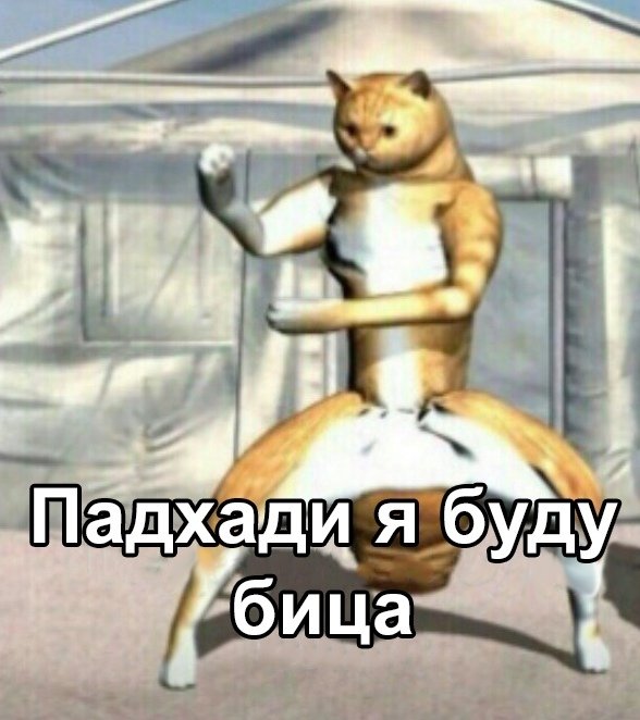 пиздец быть в твиттере это же вообще пиздец on Twitter: "его мама:…