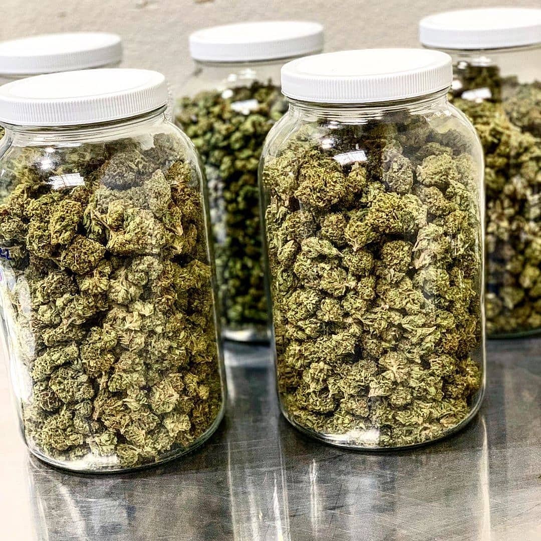 LegentPlug's tweet image. Plan_weed contacte moi via 
Liversion a domicile
Snapchat: plugstore18 
 commande 50€
#Reims #SaintÉtienne #LeHavre #Toulon #Nîmes #LeMans #Amiens #ClermontFerrand #Annecy #Orléans #SaintDenis