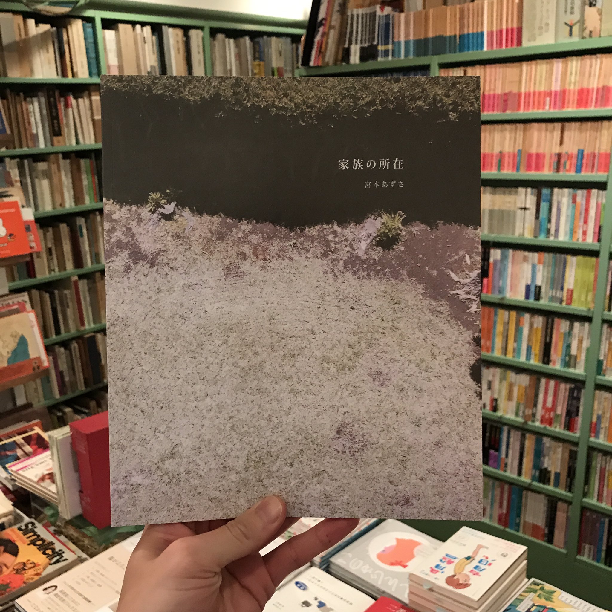 宮本あずさ Twitter Search Twitter