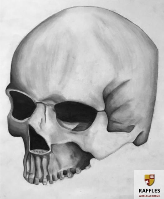 IBDP | Raffles World Academy tweet media