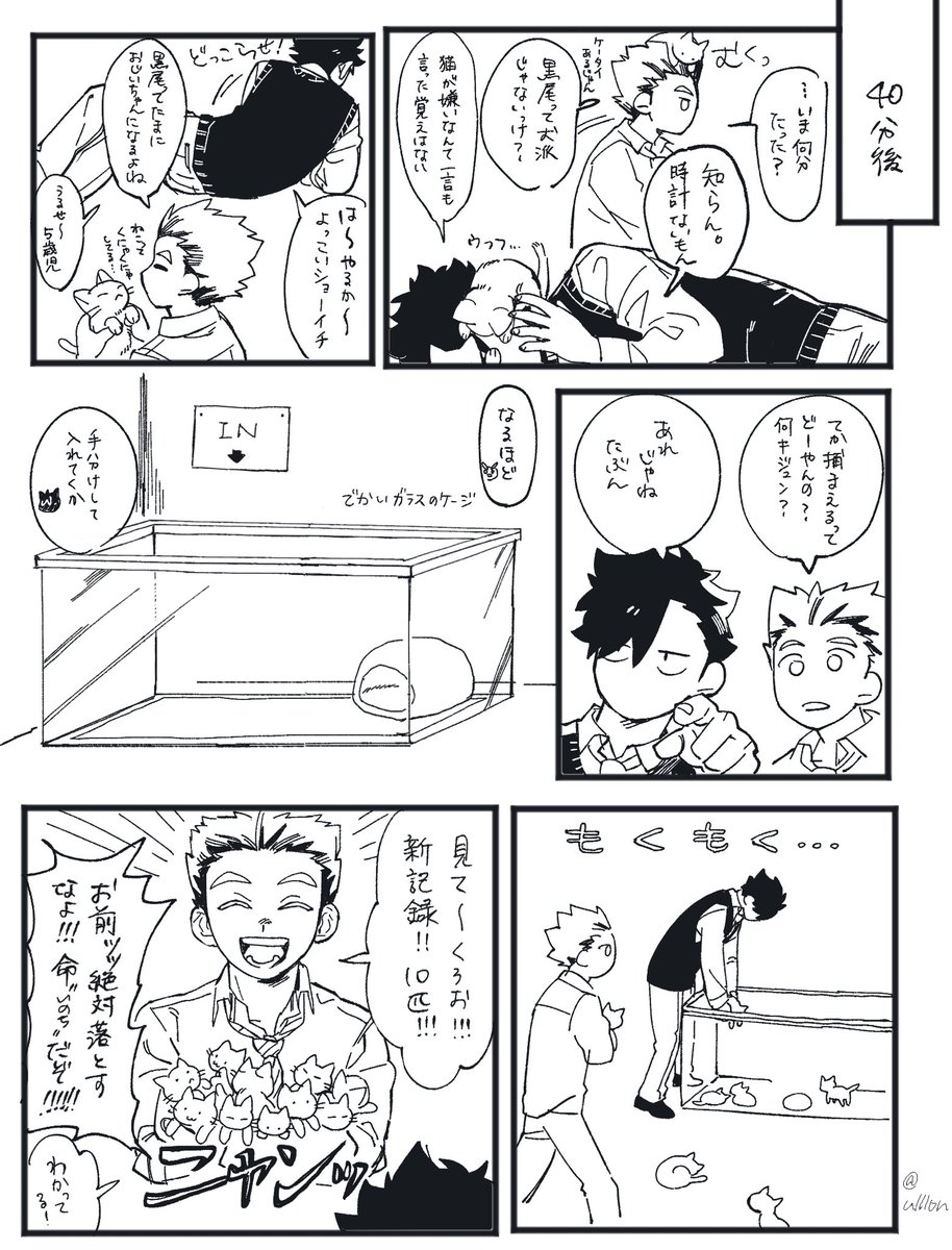 25匹の元気な子猫をつかまえるぼくろです 本当にそれだけです 
