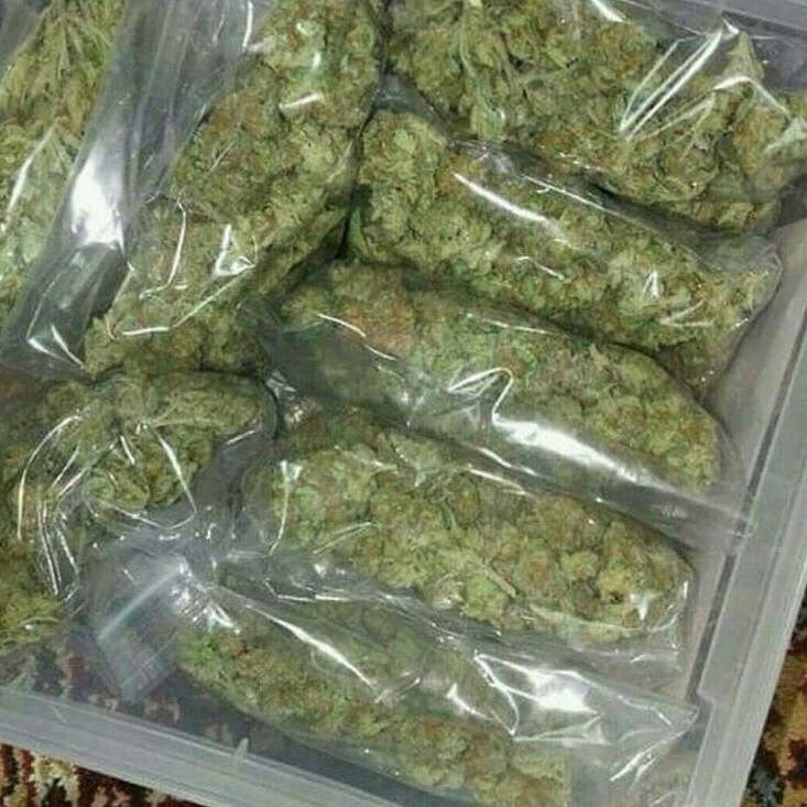 LegentPlug's tweet image. #usa #newyork #denver #carlifestyle #carolina #pennsylvania #movies #buds #weed #breal #grinthomb #texas #maryland #florida #newjersey #virginia #arizona #Washington #georgia #michigan #alaska #illinois #ohio #tennessee #mmervillle 
Snapp// plugstore18
Liversion a domicile