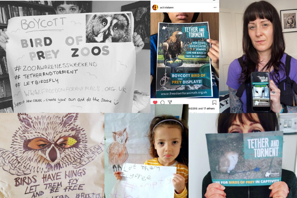 You guys did goooooood! Here are just a few of the awesome posters you made for our #ZooAwarenessWeekend recently! Speaking out for #owls and other birds suffering in #captivity

READ our action round up here! ow.ly/JhPc50znSnL

#TetherandTorment #EndTethering #LetBirdsFly