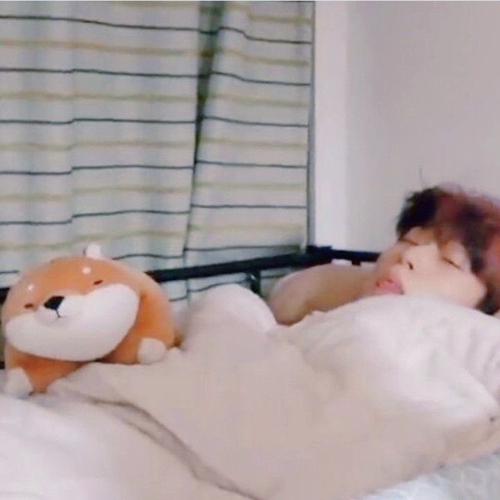 San with plushies, the softest thread to ever exist