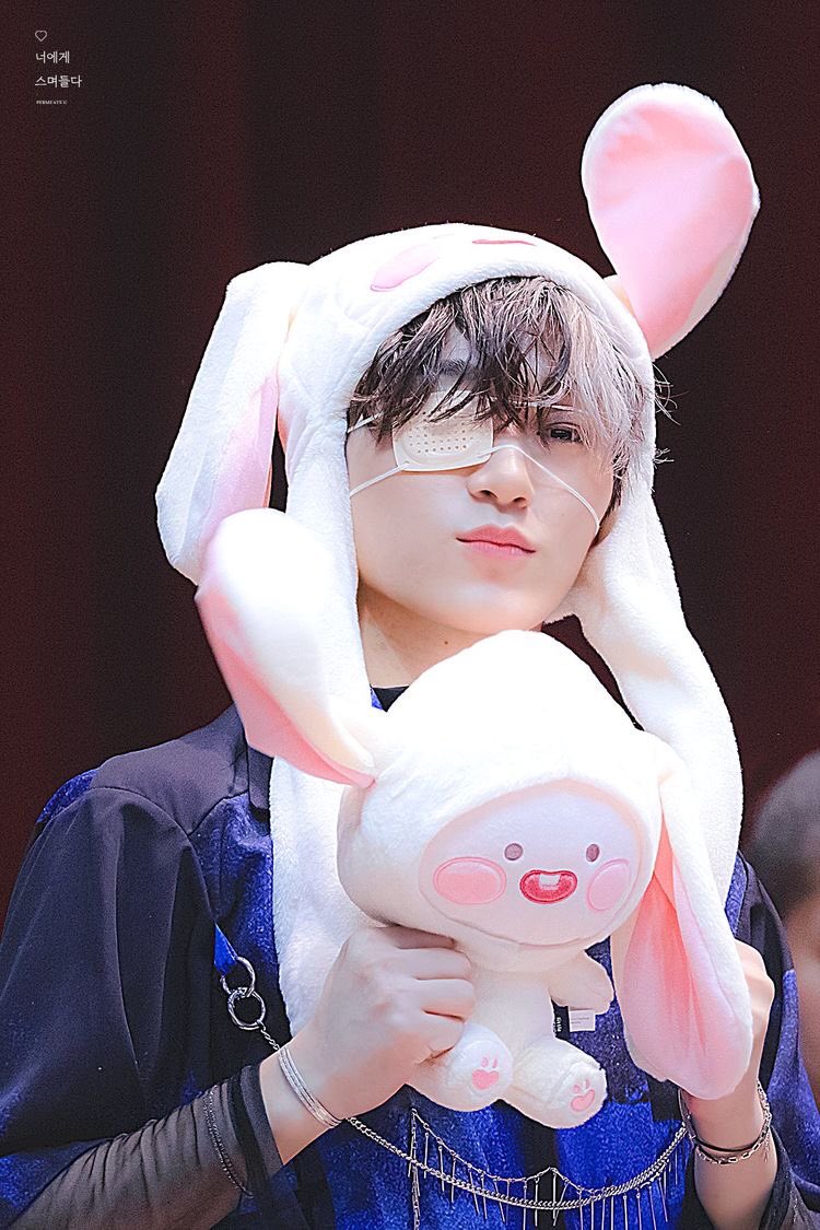 San with plushies, the softest thread to ever exist