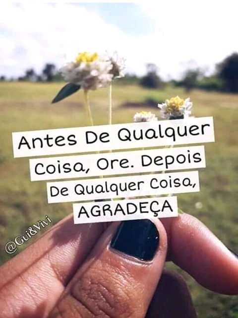 Gustavo3780's tweet photo. Amém 🙏🙏🙏🙏 #PensamentoPositivo #Agradeca #DeusAcimaDeTodos #널찾아가 #SegundaDetremuraSDV https://t.co/Ie3q1sOmTY