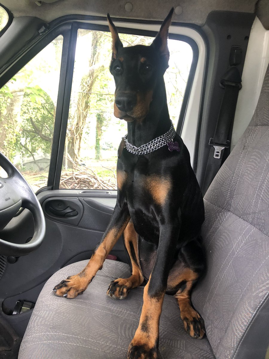 SimoneRyanx's tweet image. Hello big girl 🎀💕 #5monthsold