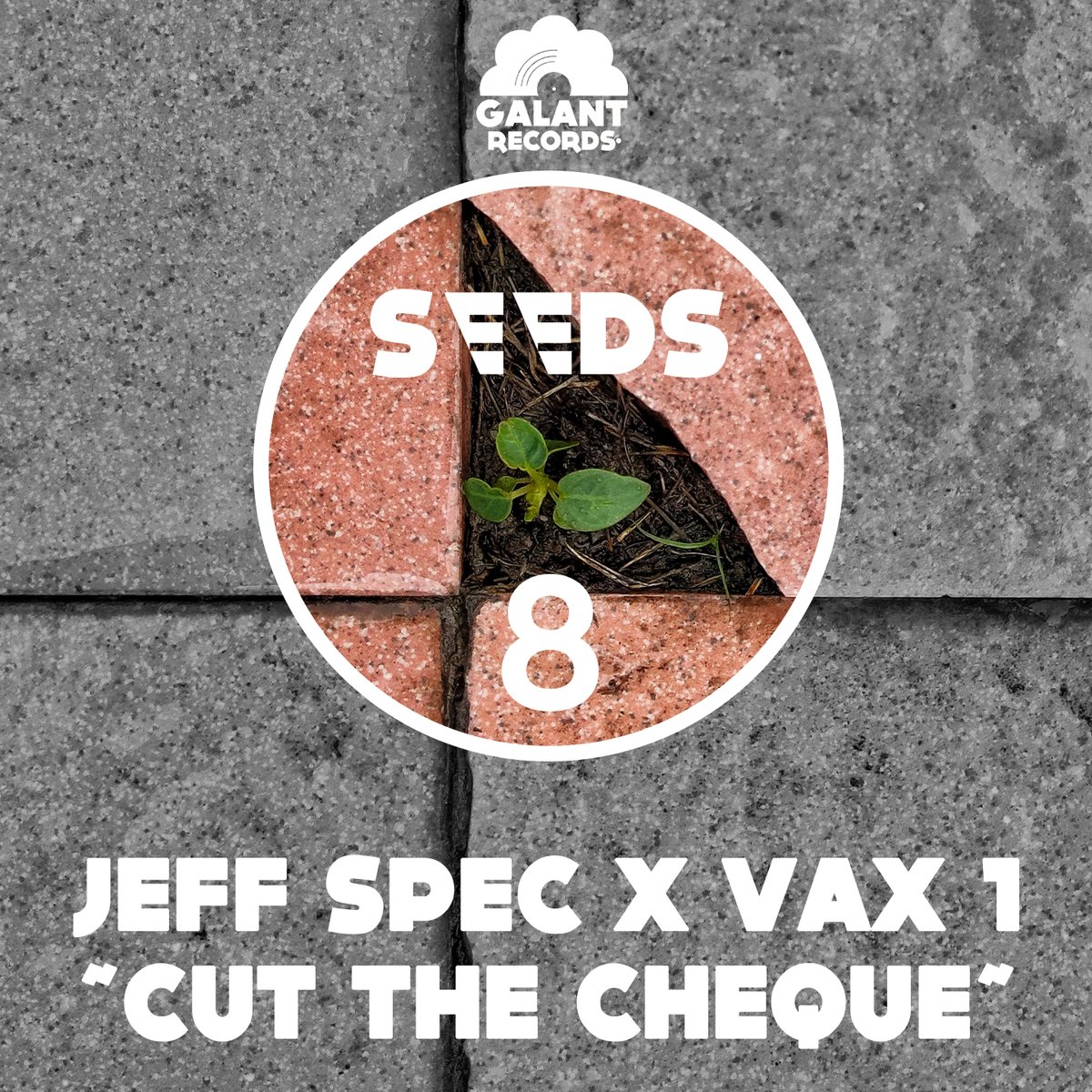 GalantRecords's tweet photo. Le talentueux beatmaker Vax 1 invite le prestigieux rappeur canadien Jeff Spec pour inaugurer le 8ème opus de notre collection de singles Seeds 🌱
🎶 https://t.co/XNJ1ZerxJ6
#single #track #hiphop #rap #boombap #vax1 #jeffspec https://t.co/UIPS9V0Ut3