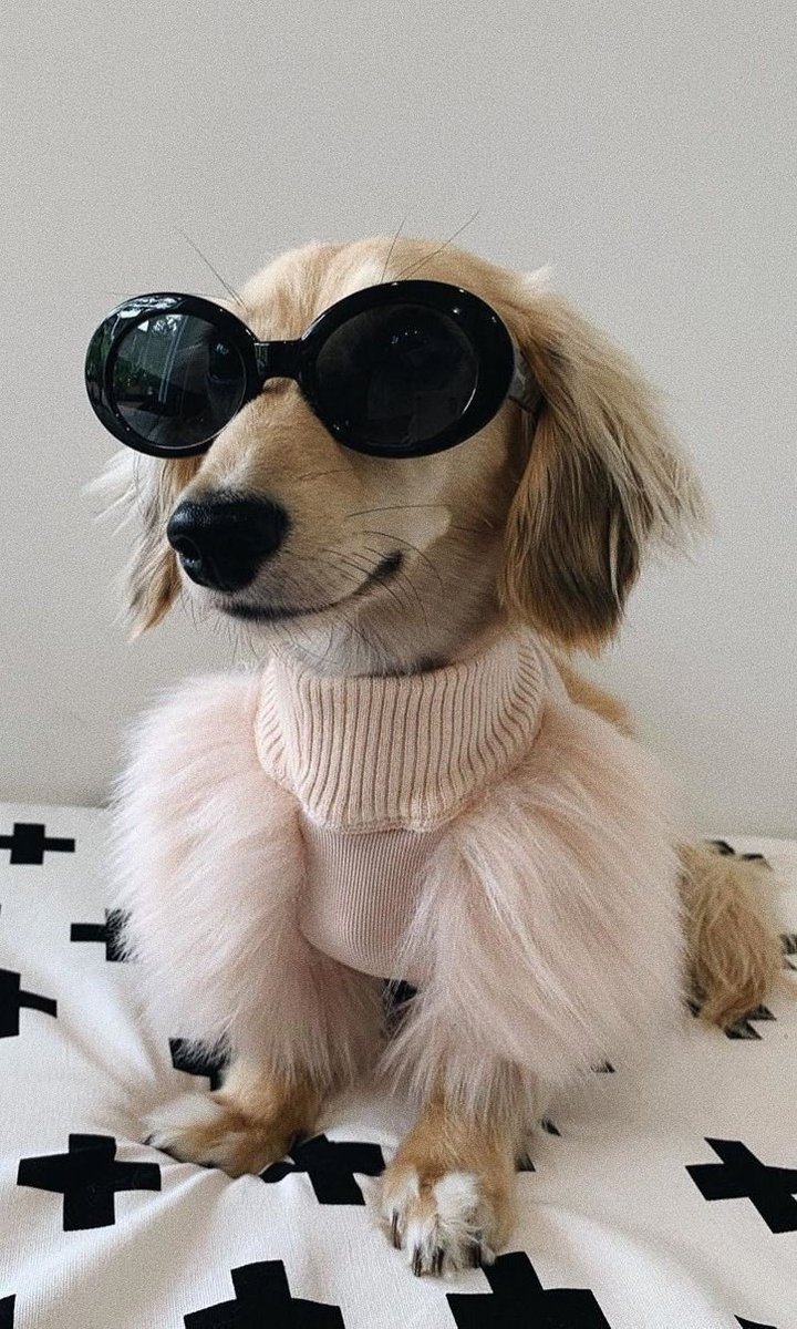 🌷
