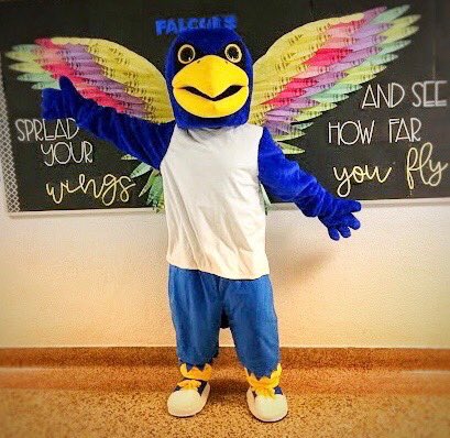 It’s the beginning of a new week.  Spread your wings and see how far you fly! Falcons soar!  🦅