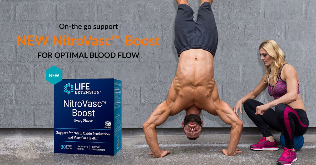 LifeExtensionEU's tweet image. Meet the NEW NitroVasc™ Boost, a berry-flavoured powder that encourages circulatory health, endothelial cell function, and nitric oxide production. The on-the-go stick packs mix easily with a pre-workout drink, water or other beverages.
bit.ly/3bHBfCt