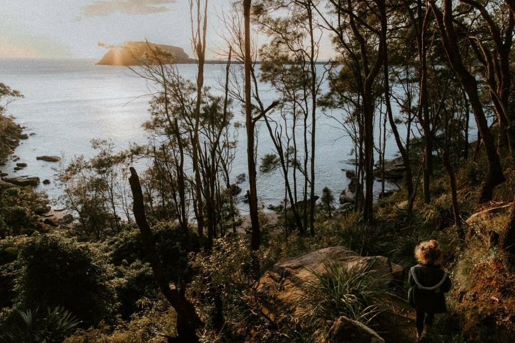 dgerl's tweet image. Morning commute.

#guringaicountry #garigalcountry 
#isolationcreation instagr.am/p/B_equxajqHP/