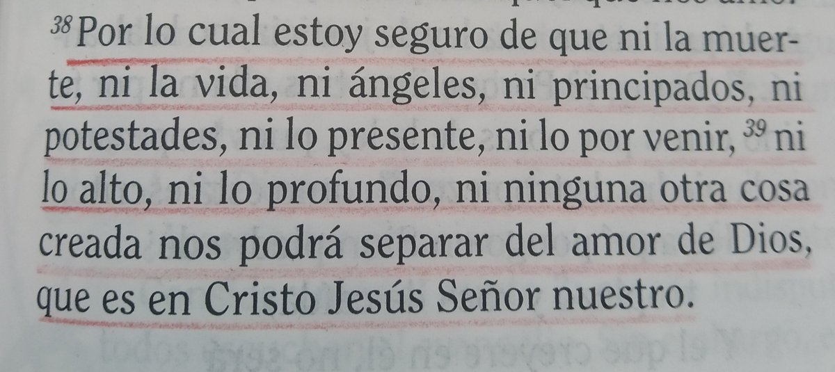 Ever Zavaleta tweet media