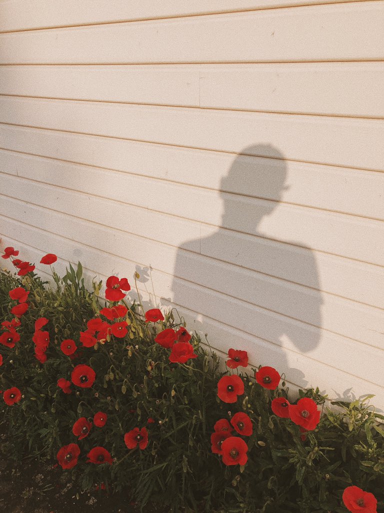 elliotaubin's tweet image. Je suis sorti 2 minutes, l’extérieur m’inspire encore plus qu’avant