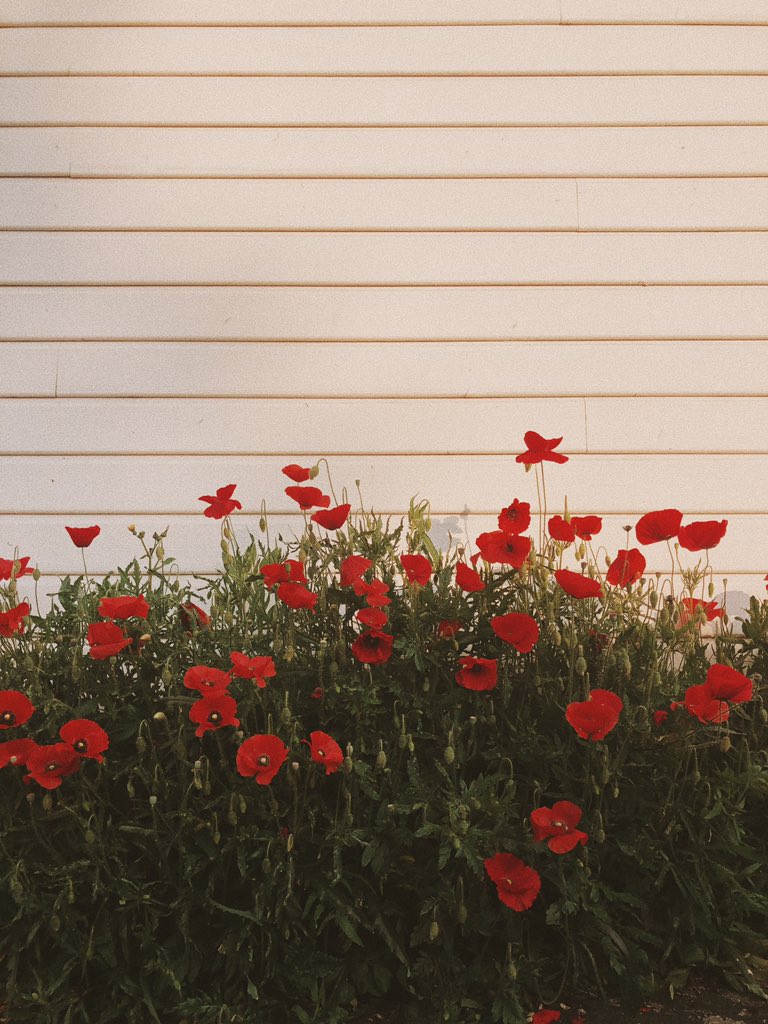 elliotaubin's tweet image. Je suis sorti 2 minutes, l’extérieur m’inspire encore plus qu’avant