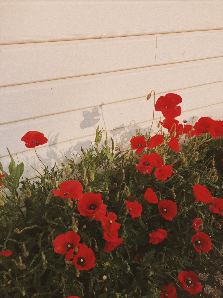 elliotaubin's tweet image. Je suis sorti 2 minutes, l’extérieur m’inspire encore plus qu’avant