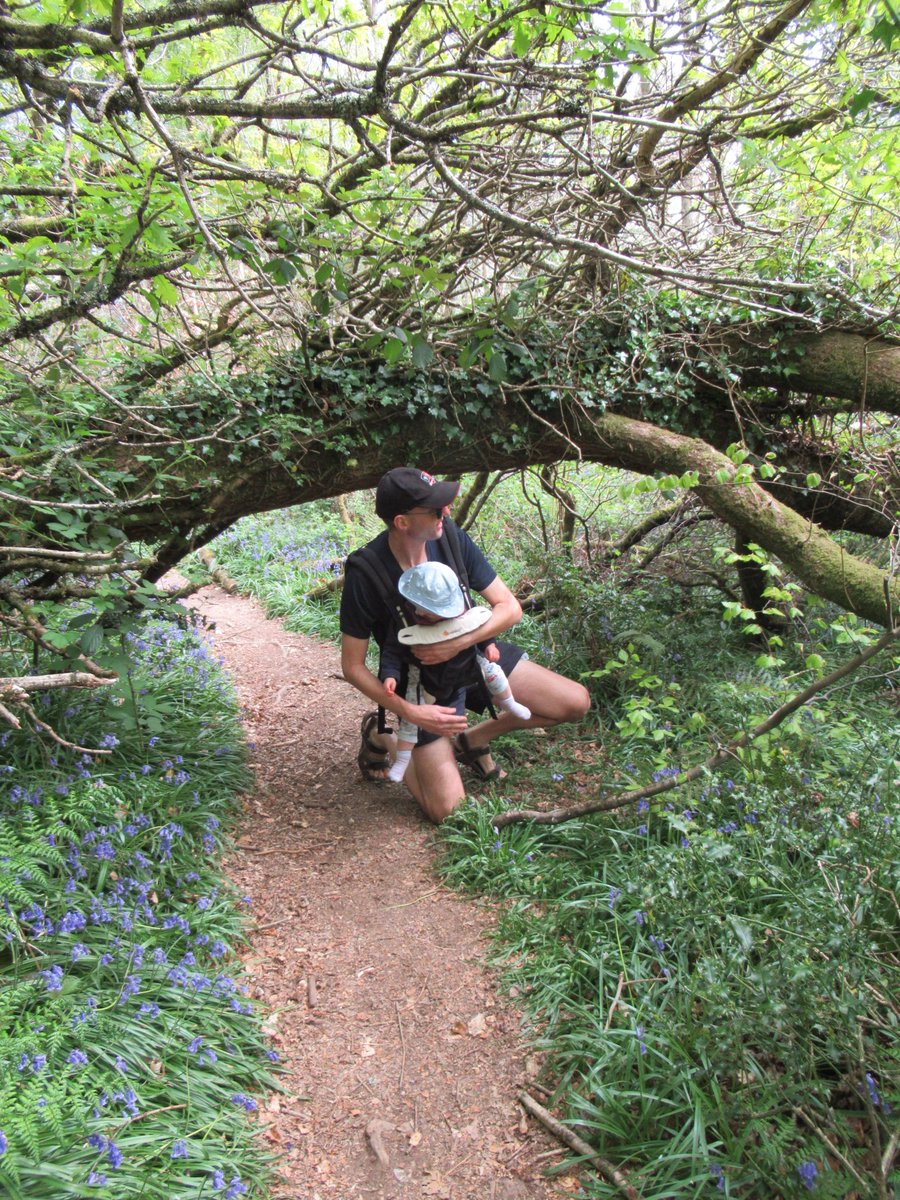 ellie_sut83's tweet photo. Our family weekend walk: so lucky to have this woodland on our doorstep! My 14 month old just loves trees #walk #woodlandwalks #familywalks #familytime #exerciseouting #outdoorsisfree #woods #trees https://t.co/9HHp94AVSO