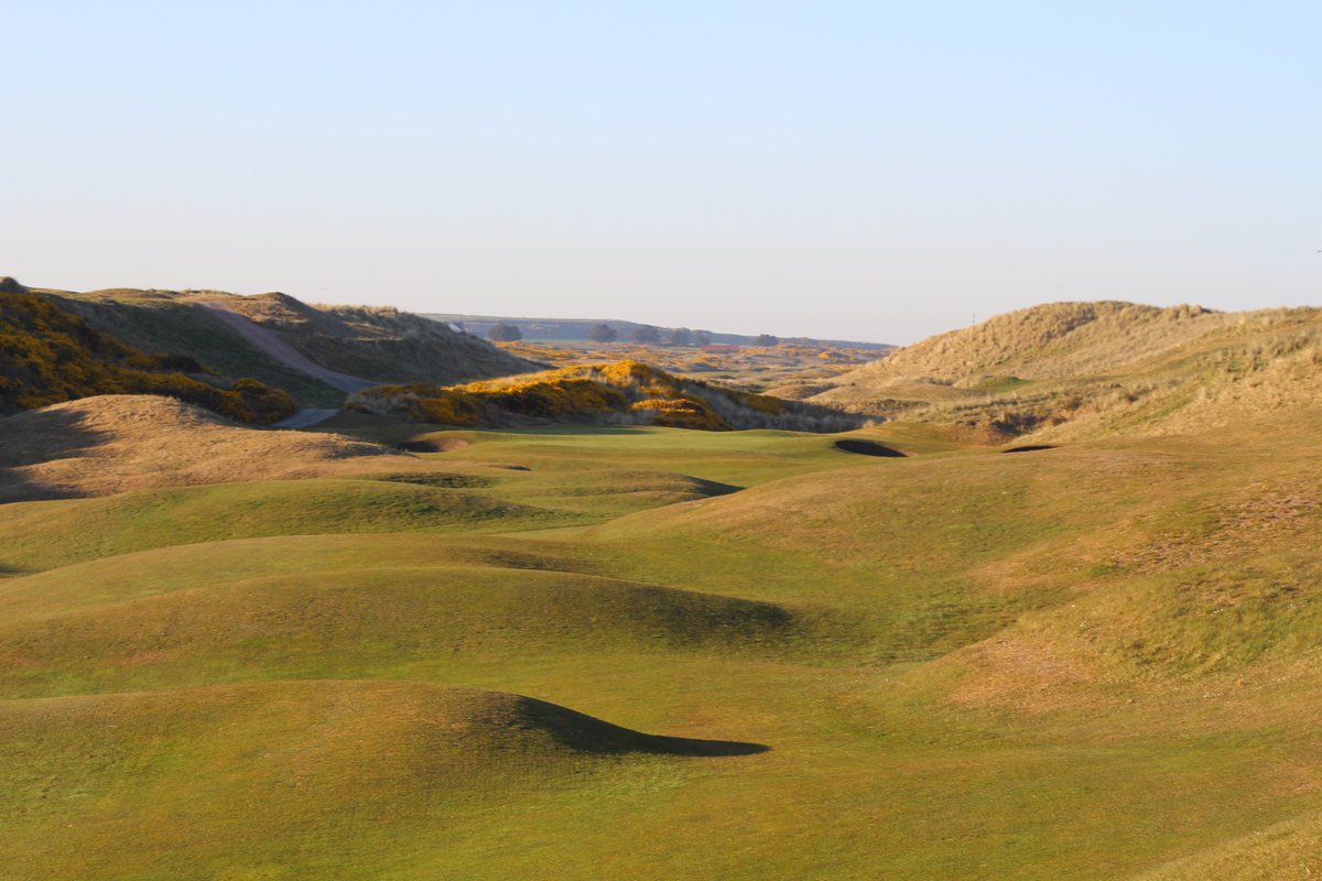 RoyalAberdeenPS's tweet photo. Sometimes it can be tricky finding a flat lie at Balgownie but that's the challenge of playing a great links course! #linksgolf #draw #fade #uphill #downhill #rollingfairways #staysafe https://t.co/7VZh9rGmAa