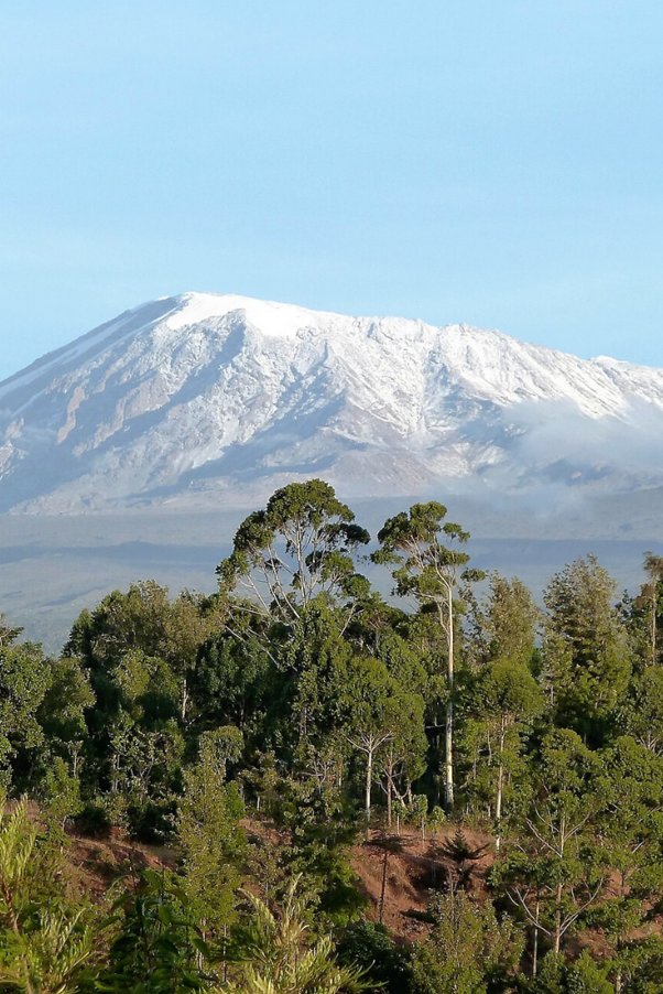 гора в кении килиманджаро. назвать горы африки. гора килиманджаро. танзания килиманджаро. гора в африке килиманджаро.