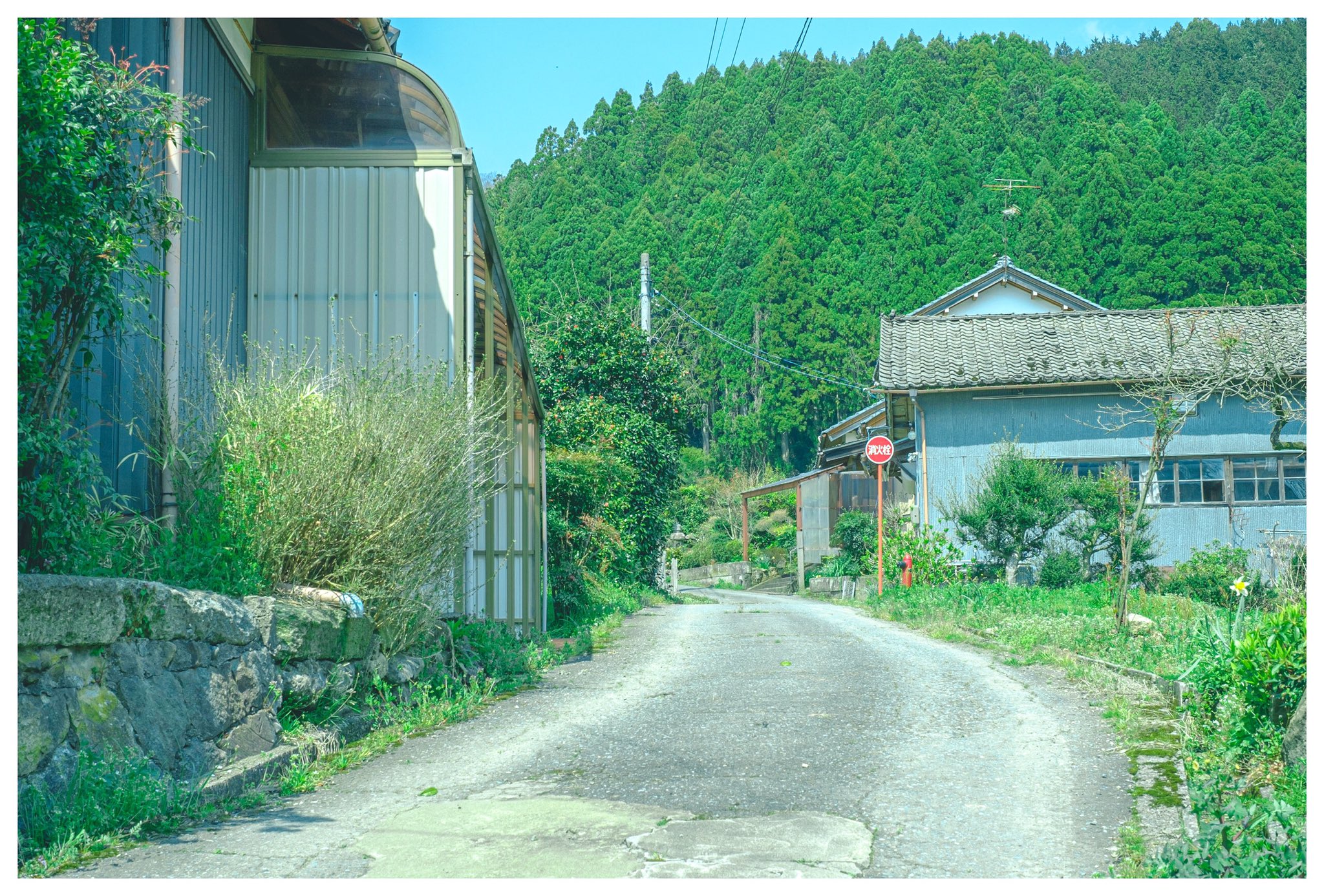 おくで イラストのような田舎道 T Co Rsbhlrkhu0 Twitter