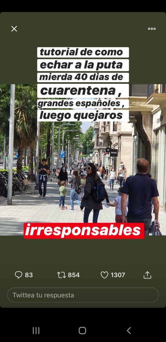 Celtainside tweet media