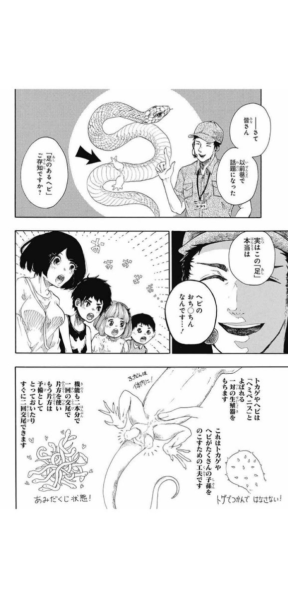 『ドラゴニュートの下半身』(7/11) 